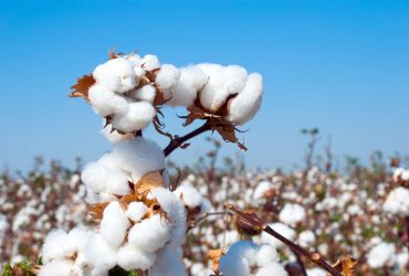 AdobeStock_119067326-scaled-1-1536x1028-1