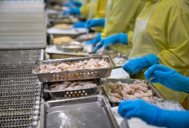 Processing,Crispy,Breaded,Shrimp,In,A,Food,Factory,In,Vietnam