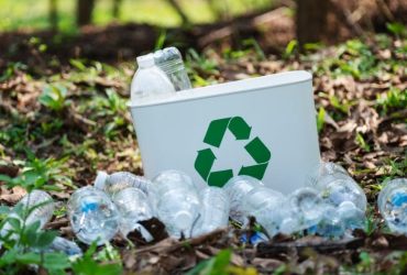plastic-bottles-and-a-recycle-bin-in-the-outdoors-2023-11-27-05-29-51-utc-1024x576-1